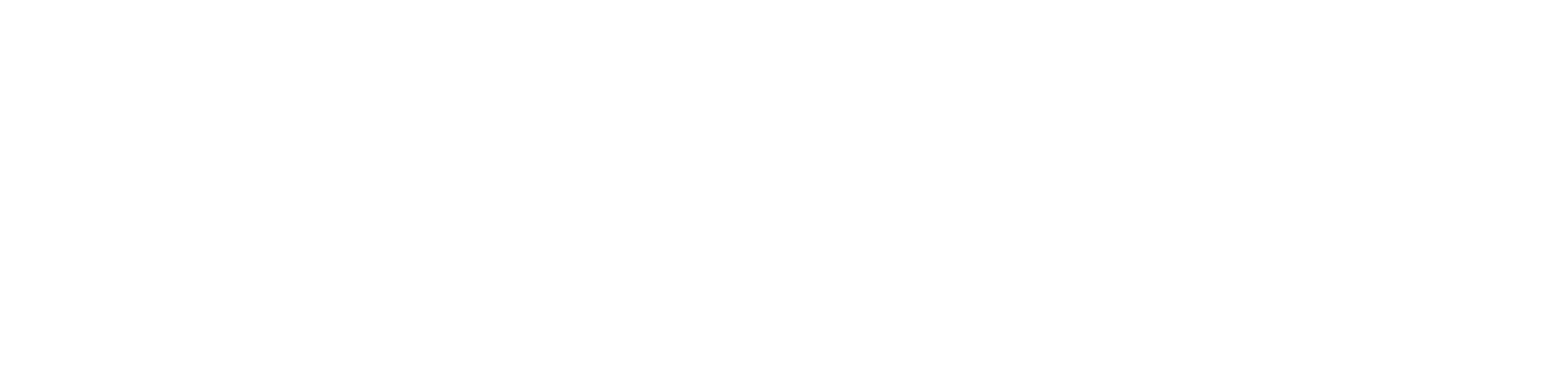 logo-light